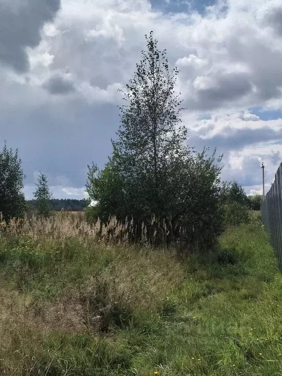 Участок в Московская область, Чехов муниципальный округ, д. Сенино  ... - Фото 2