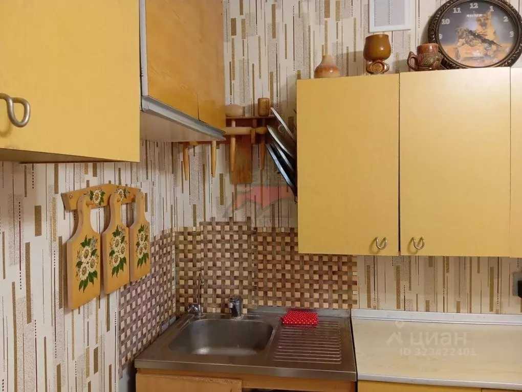 1-к кв. Московская область, Истра ул. Ленина, 13 (32.9 м) - Фото 2