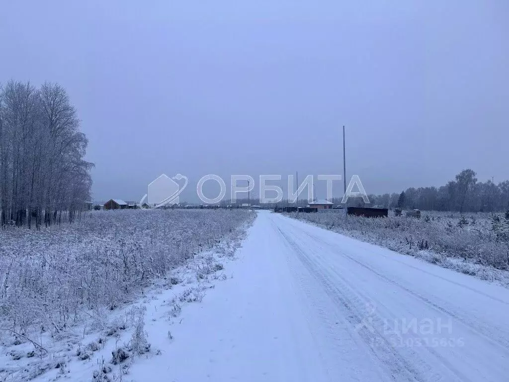 Участок в Тюменская область, Тюменский район, Новокаменский кп ул. ... - Фото 1