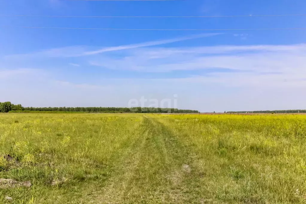 Участок в Тюменская область, Нижнетавдинский район, Деревня Большой ... - Фото 0