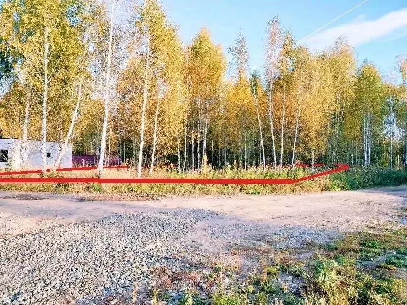 Участок в Новосибирская область, Новосибирский район, Станционный ... - Фото 2