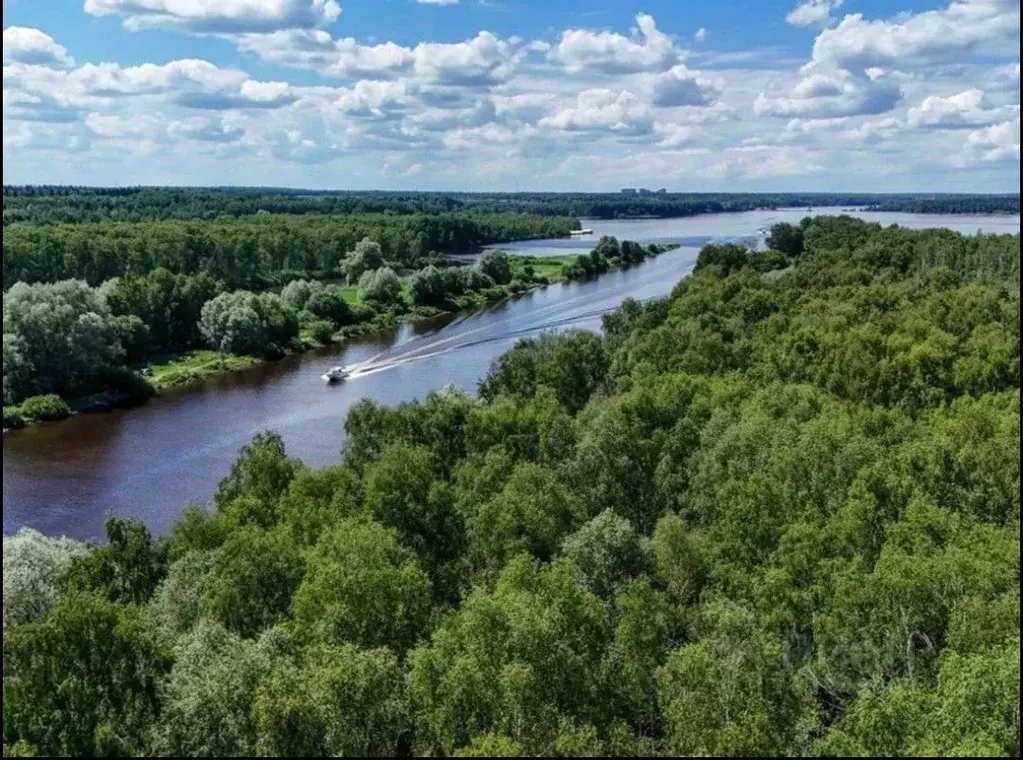 Участок в Московская область, Мытищи городской округ, д. Протасово, ... - Фото 0