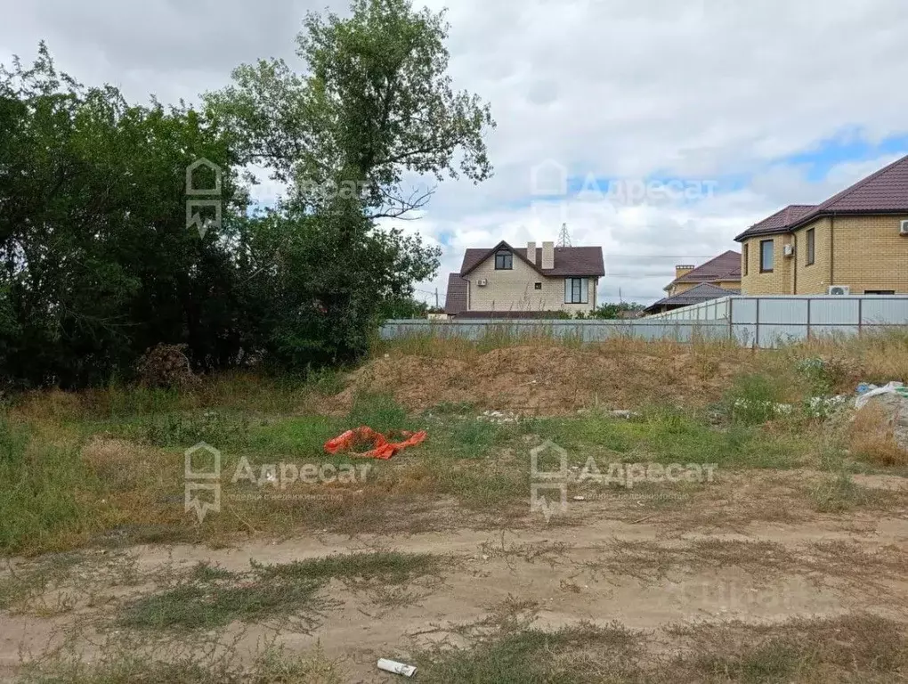 Участок в Волгоградская область, Волгоград пер. Академика Палладина ... - Фото 1