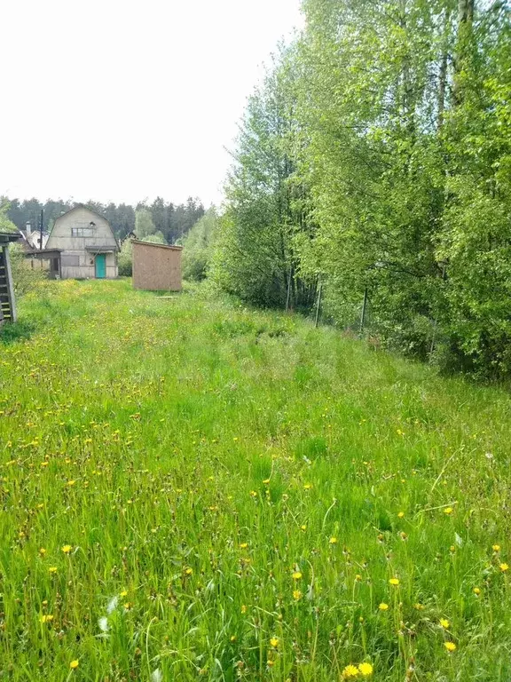 Дом 49 м на участке 8,5 сот. - Фото 0