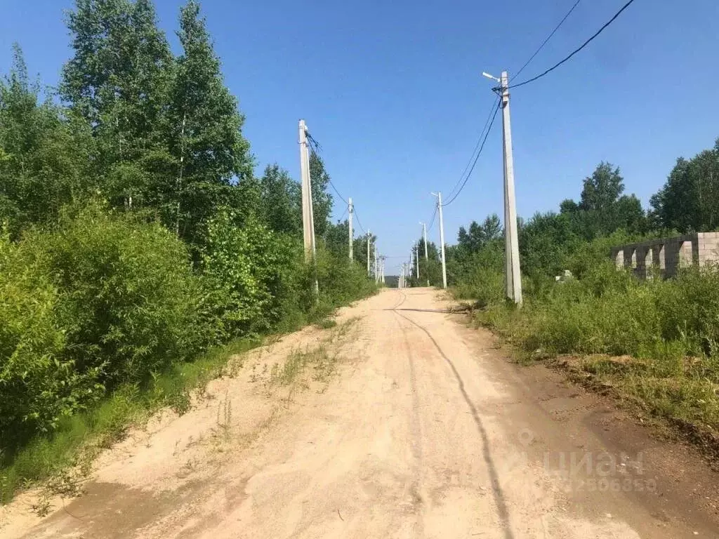 Участок в Амурская область, Благовещенский район, с. Чигири ул. ... - Фото 1