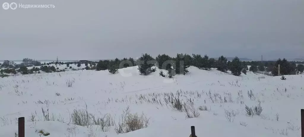 Участок в Касли, улица Заветы Ильича (15 м) - Фото 2