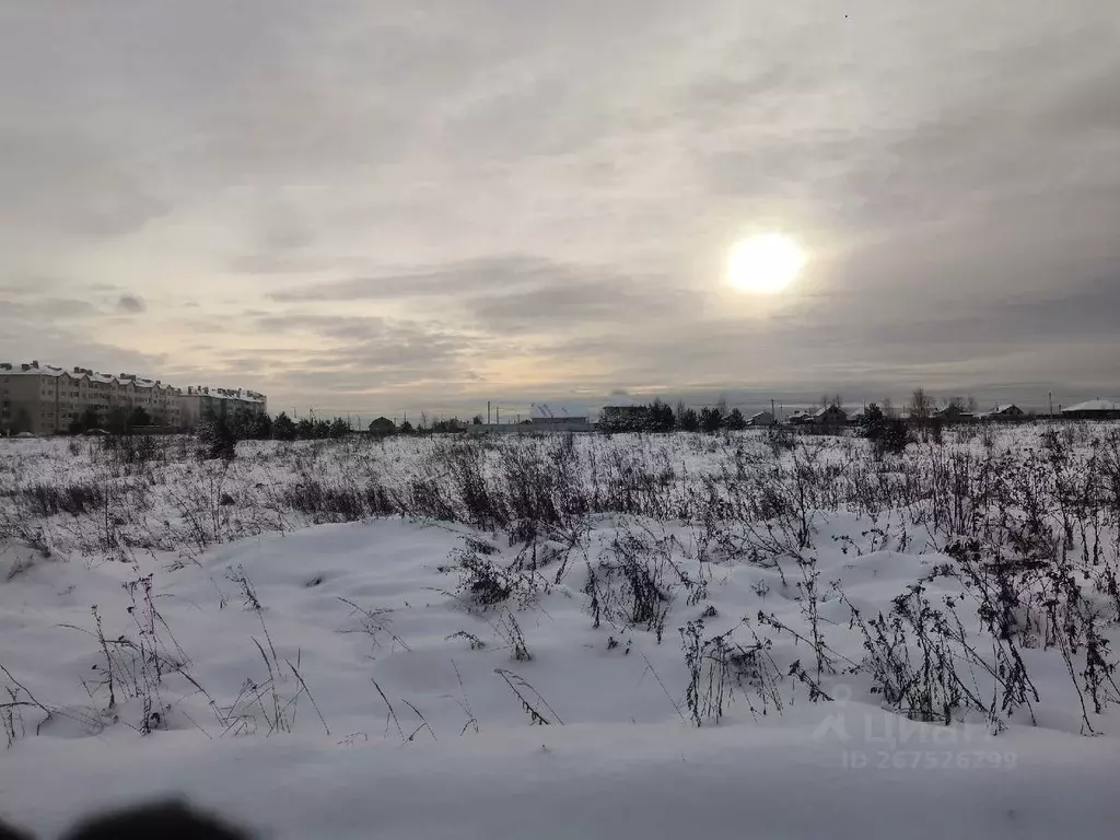 Участок в Владимирская область, Кольчугино ул. Карасева (10.0 сот.) - Фото 0