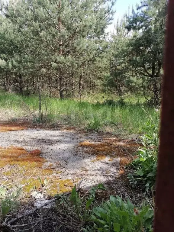 Участок в Брянская область, Брянский район, Журиничское с/пос, с. ... - Фото 1