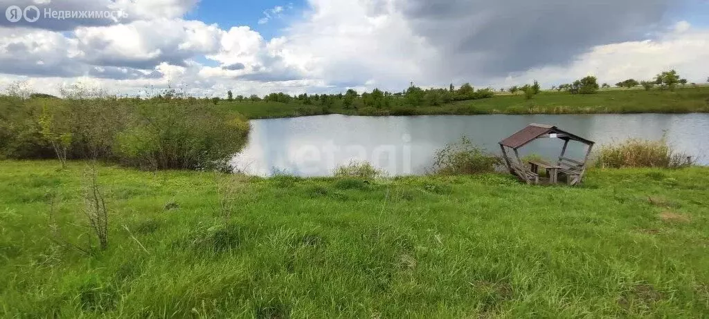 Участок в Рамонский район, Русскогвоздёвское сельское поселение, село ... - Фото 0