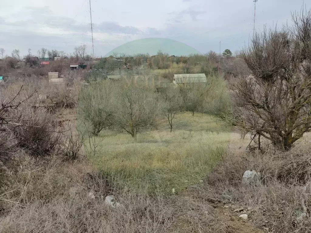 Участок в Волгоградская область, Волгоград Электромонтажник СНТ, 154 ... - Фото 1