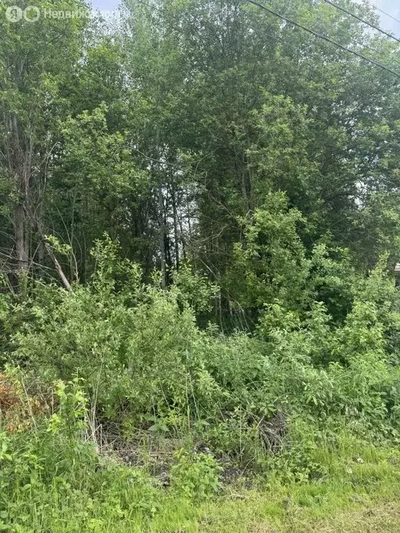 Участок в Тверская область, Конаковский муниципальный округ, СНТ ... - Фото 1