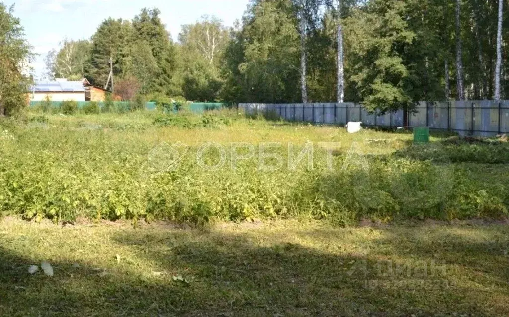 Дом в Тюменская область, Тюмень Рябинушка садовое товарищество, ул. ... - Фото 1
