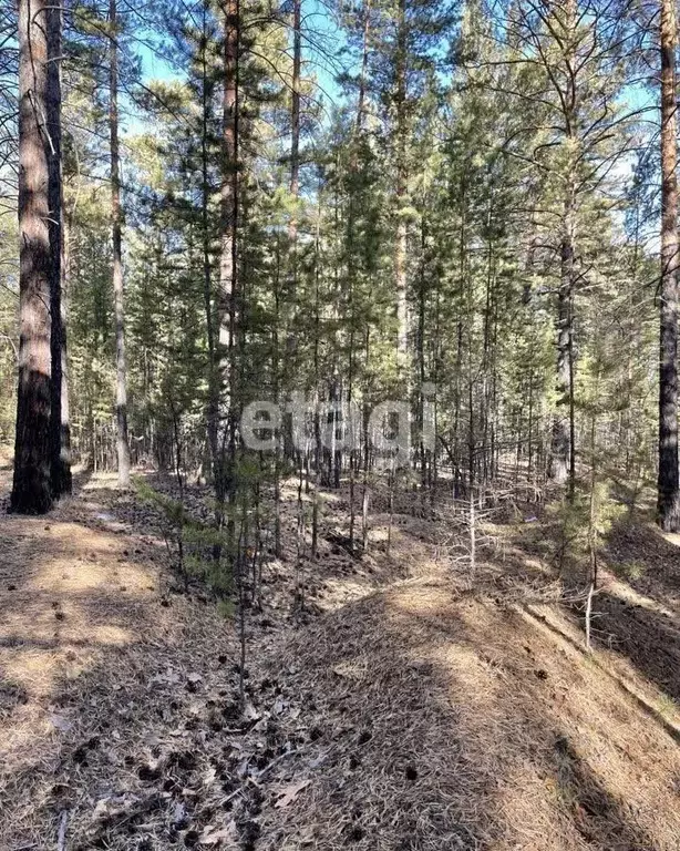 Участок в Забайкальский край, Читинский район, с. Карповка  (9.3 сот.) - Фото 1