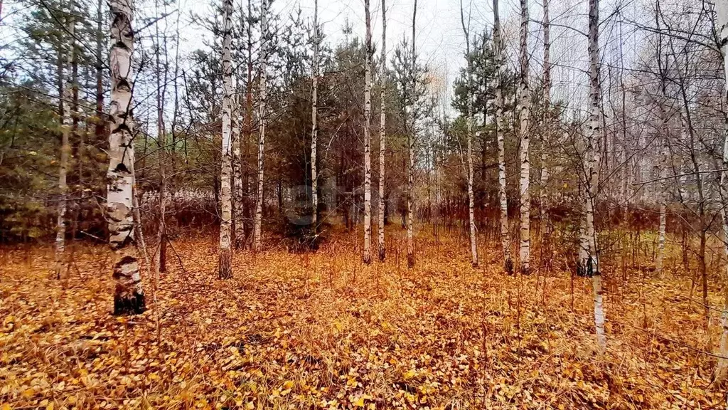 Участок в Кировская область, Слободской район, Шиховское с/пос, д. ... - Фото 1