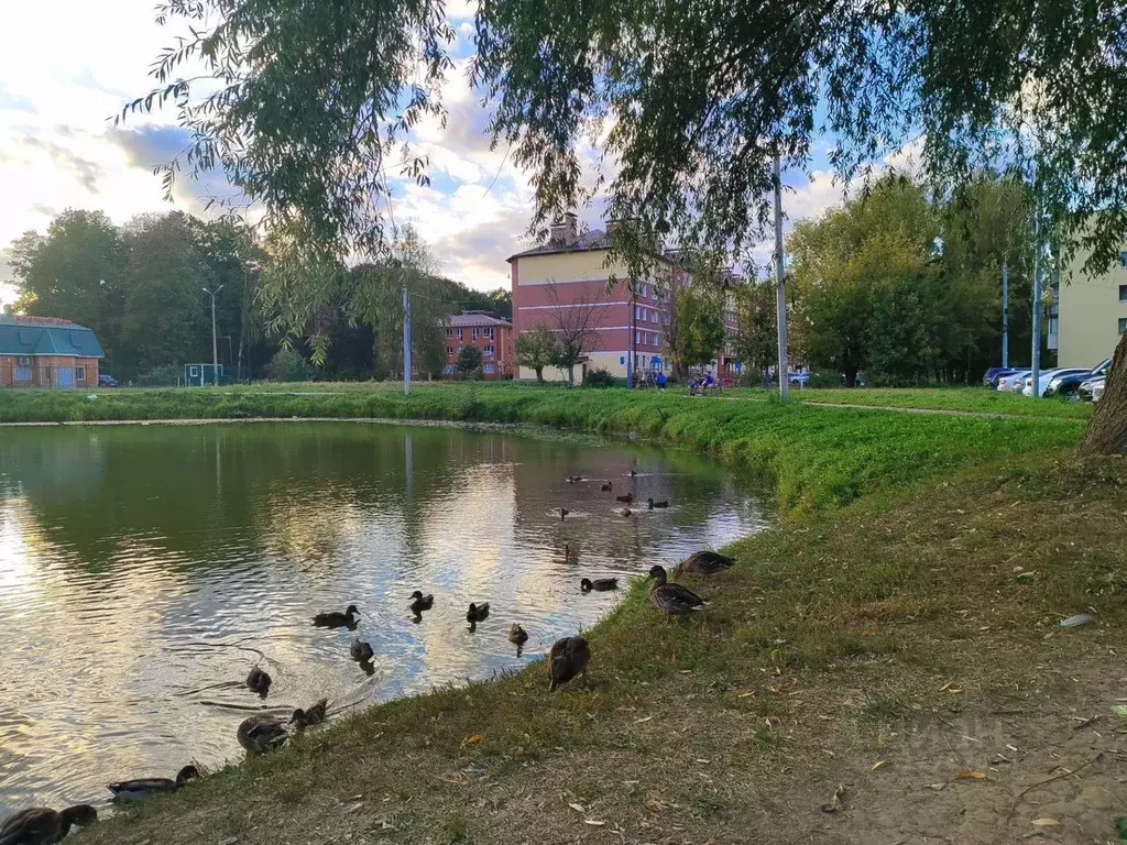 1-к кв. Московская область, Высоковск Клин городской округ, ул. ... - Фото 1