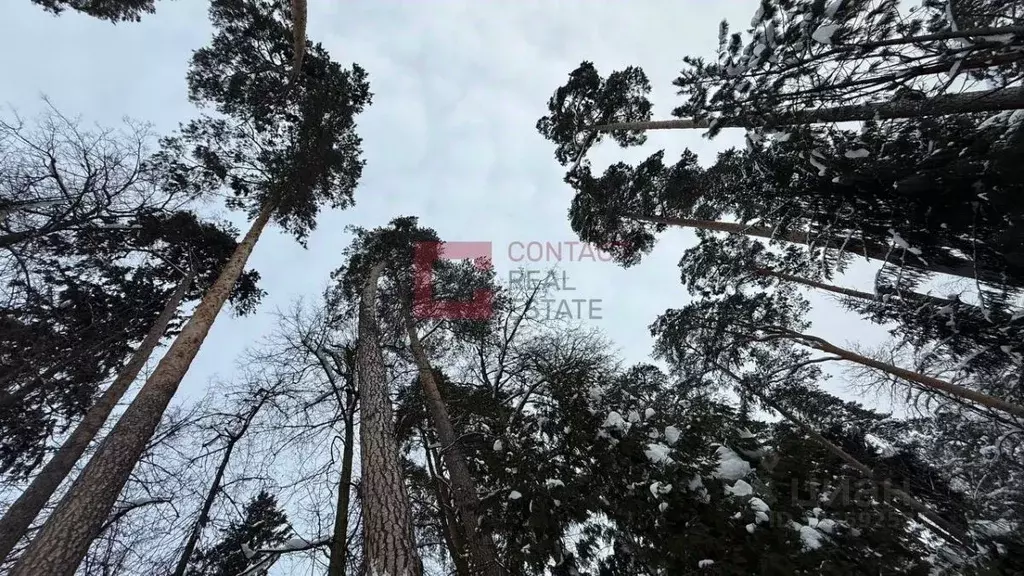 Участок в Московская область, Красногорск городской округ, с. ... - Фото 2