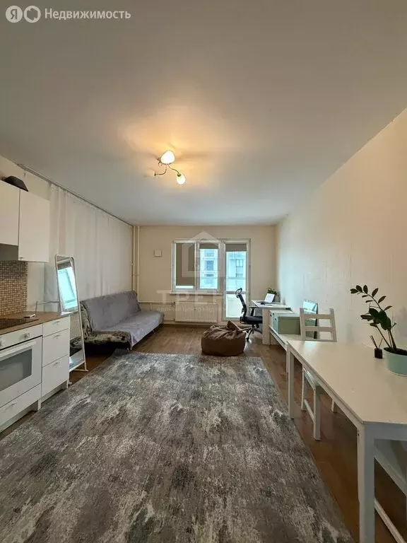 Квартира-студия: Санкт-Петербург, Кушелевская дорога, 3к13 (32.9 м) - Фото 2