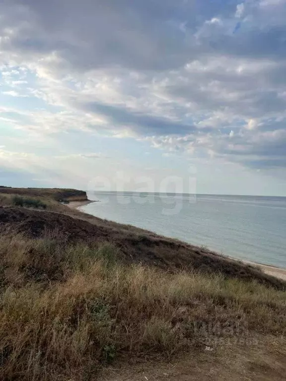 Участок в Крым, Черноморский район, Окуневское с/пос, с. Знаменское  ... - Фото 2