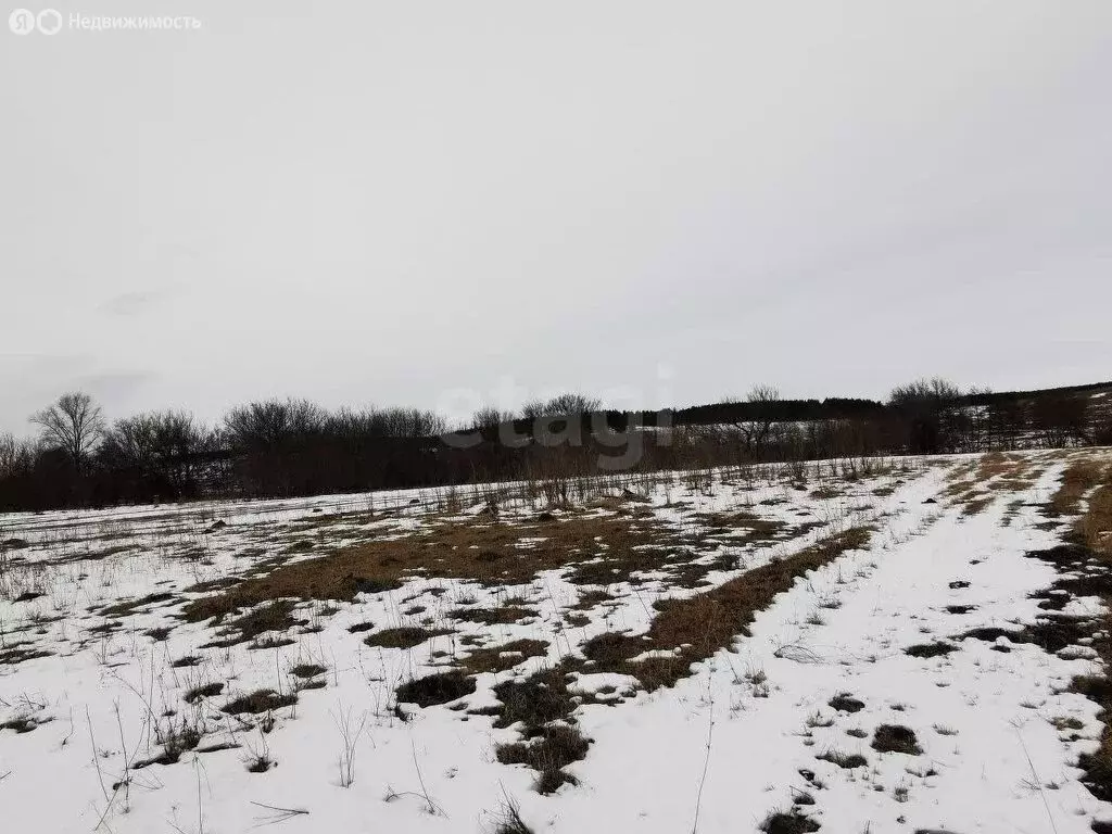 Участок в муниципальное образование Саратов, село Поповка (57000 м) - Фото 2