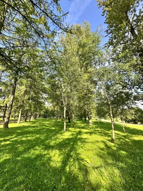 3-к кв. Санкт-Петербург Московский просп., 161 (82.0 м) - Фото 1