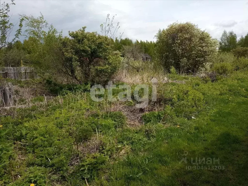 Участок в Костромская область, Красносельский район, Сидоровское ... - Фото 0