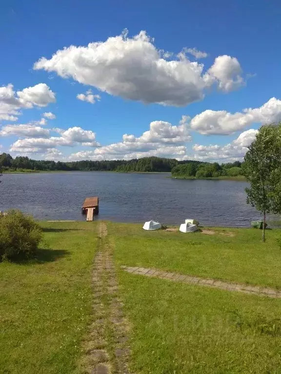 Дом в Новгородская область, Демянский муниципальный округ, д. Перерва ... - Фото 1