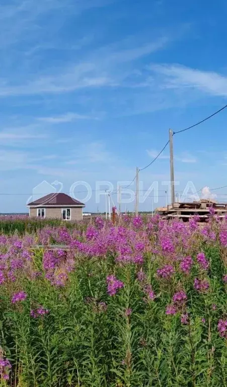 Участок в Тюменская область, Тюменский район, д. Малиновка  (5.0 сот.) - Фото 0
