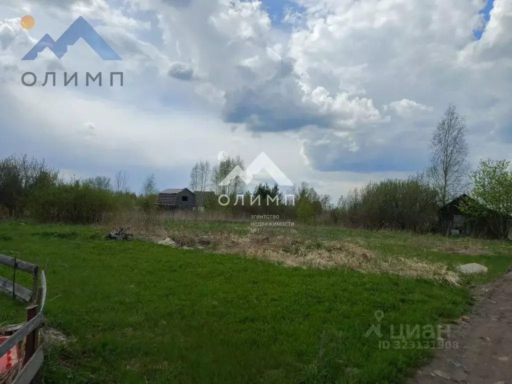 Участок в Вологодская область, Анциферово садоводческое товарищество ... - Фото 1