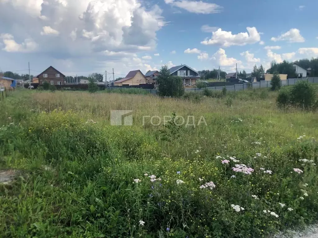 Участок в Новосибирская область, Новосибирский район, Березовский ... - Фото 2