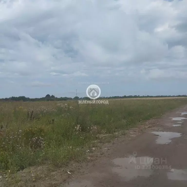 Участок в Калининградская область, Гурьевский муниципальный округ, ... - Фото 1