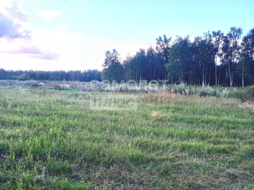 Участок в Рязанская область, Рязанский район, Варсковское с/пос, пос. ... - Фото 2