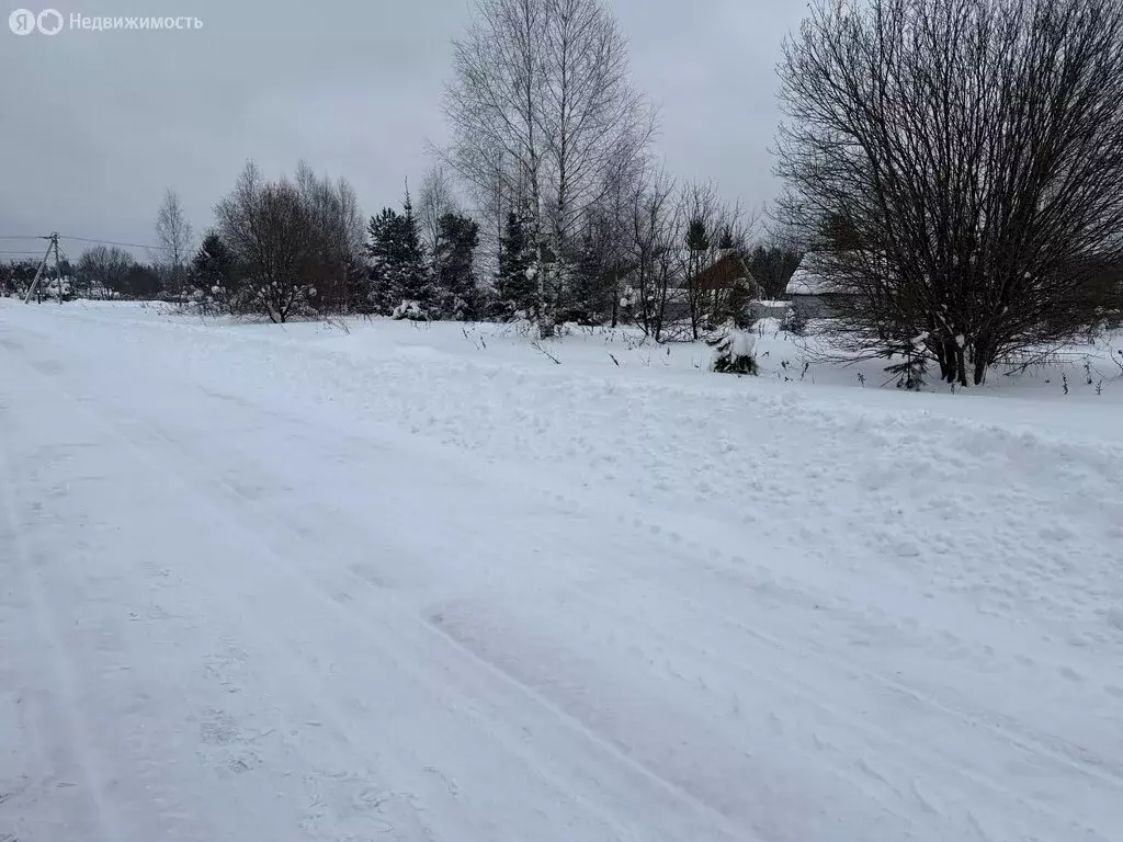 Участок в Владимирская область, Александровский муниципальный округ, ... - Фото 1