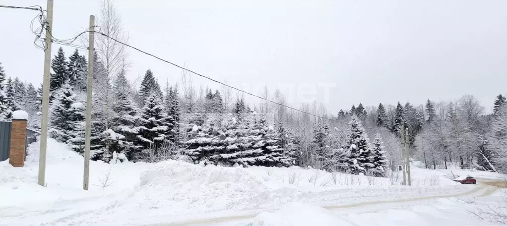 Участок в Московская область, Дмитровский муниципальный округ, КП ... - Фото 1