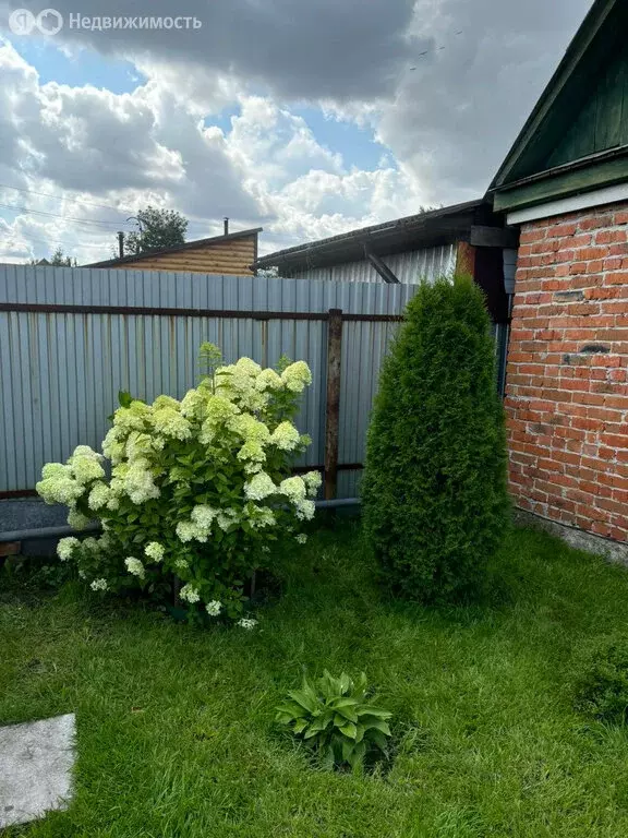 Дом в Тюмень, СНТ Бирюсинка, Садовая улица, 54 (30 м) - Фото 0