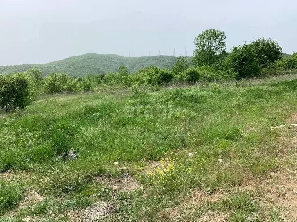 Участок в Краснодарский край, Новороссийск городской округ, с. ... - Фото 1