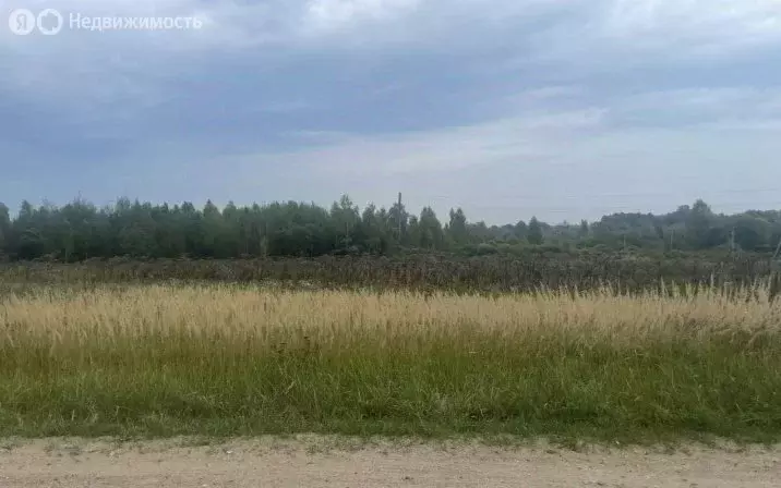 Участок в Тверская область, Калининский муниципальный округ, село ... - Фото 1