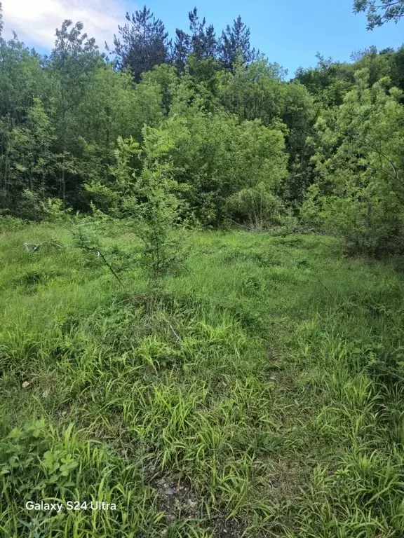 Участок в Крым, Ялта муниципальный округ, Виноградное пгт ул. Красина ... - Фото 2