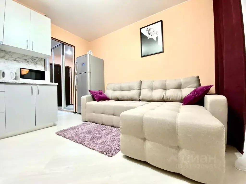 Студия Кемеровская область, Кемерово Молодежный просп., 33к1 (30.0 м) - Фото 0