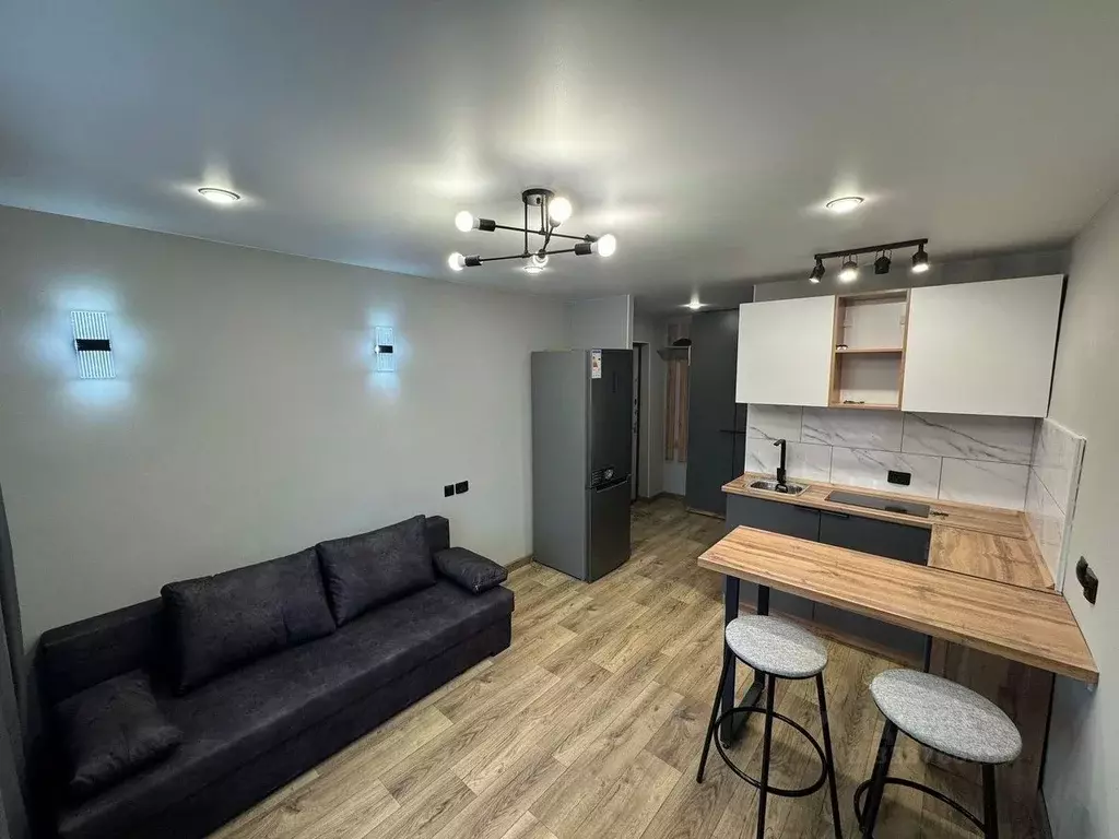 Студия Алтайский край, Барнаул ул. Петра Сухова, 9А/2 (18.0 м) - Фото 1