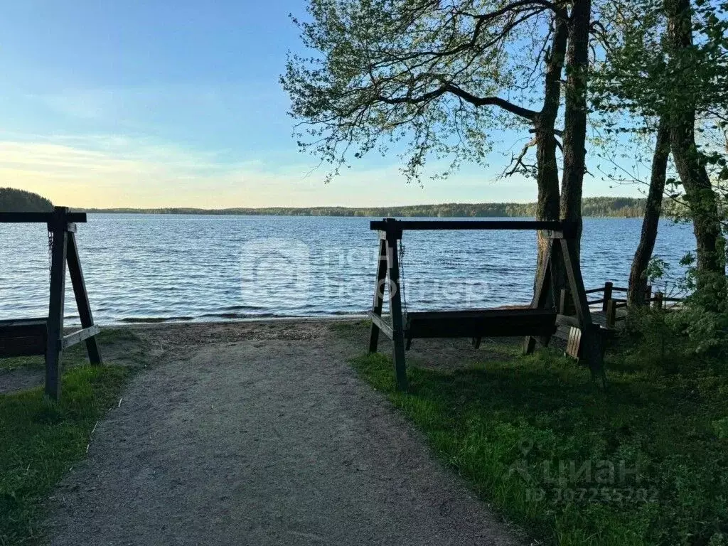 Участок в Ленинградская область, Выборгский район, Приморское ... - Фото 0