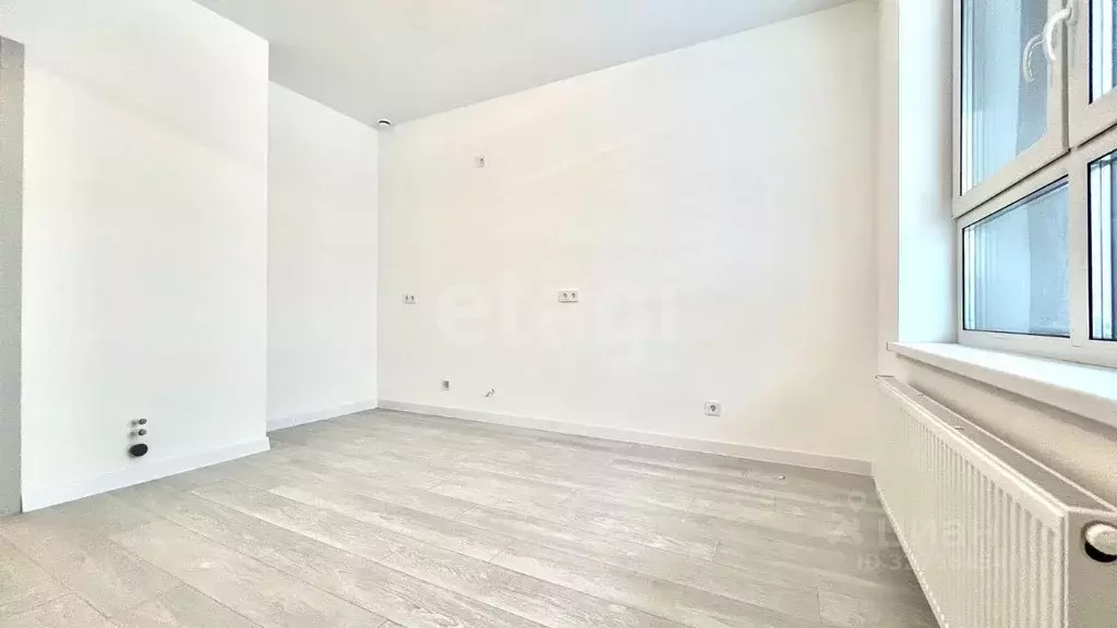 Студия Санкт-Петербург наб. Реки Каменки, 3к3 (20.5 м) - Фото 1