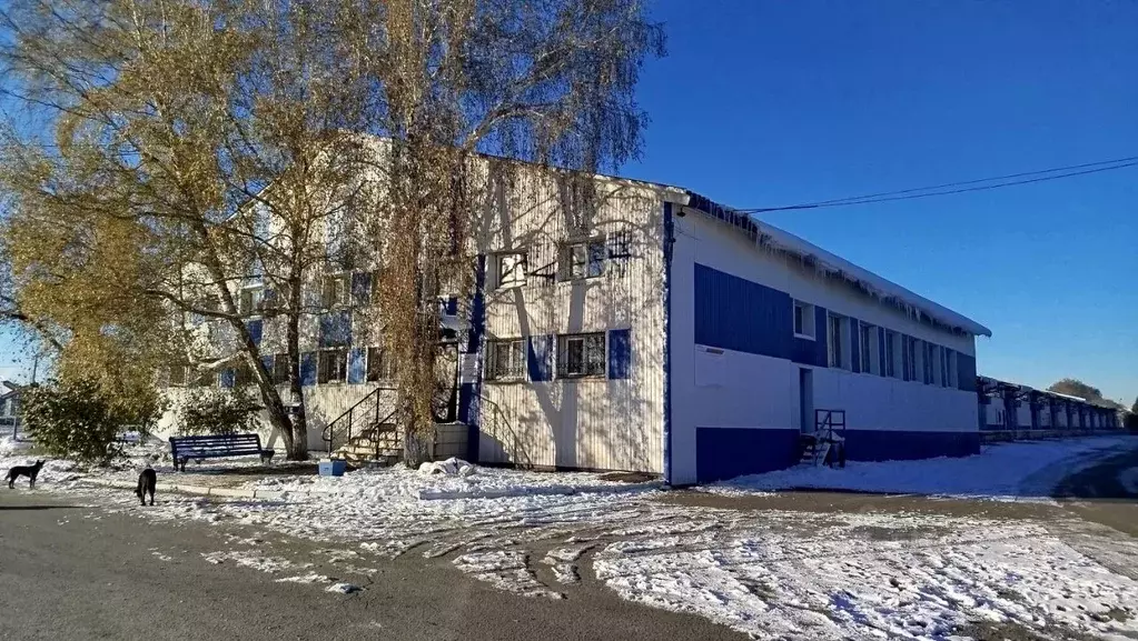 Офис в Омская область, Омск Рельсовая ул., 22/1 (20 м) - Фото 1