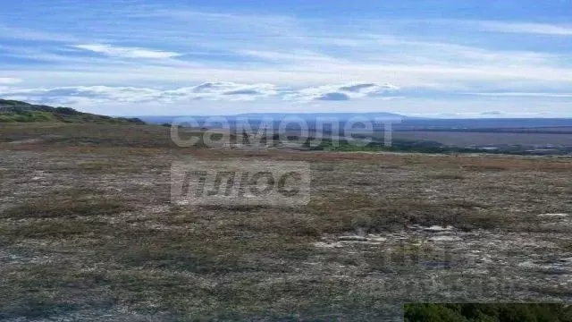 Участок в Крым, Феодосия муниципальный округ, с. Береговое ул. ... - Фото 0