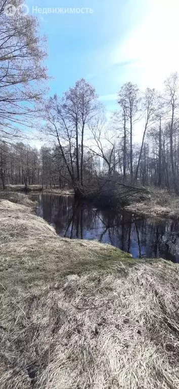 Участок в Нижегородская область, городской округ Бор, село Городищи ... - Фото 0