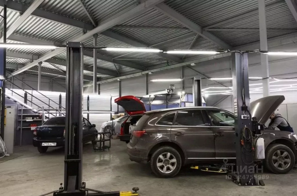 Помещение свободного назначения в Санкт-Петербург Шафировский просп., ... - Фото 1