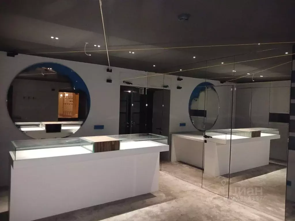 Помещение свободного назначения в Санкт-Петербург Невский просп., 148 ... - Фото 0