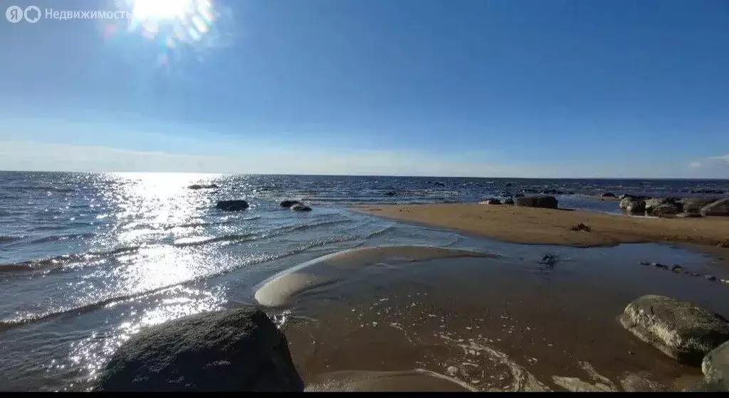 Участок в Ярославская область, Пошехонский муниципальный округ, село ... - Фото 1