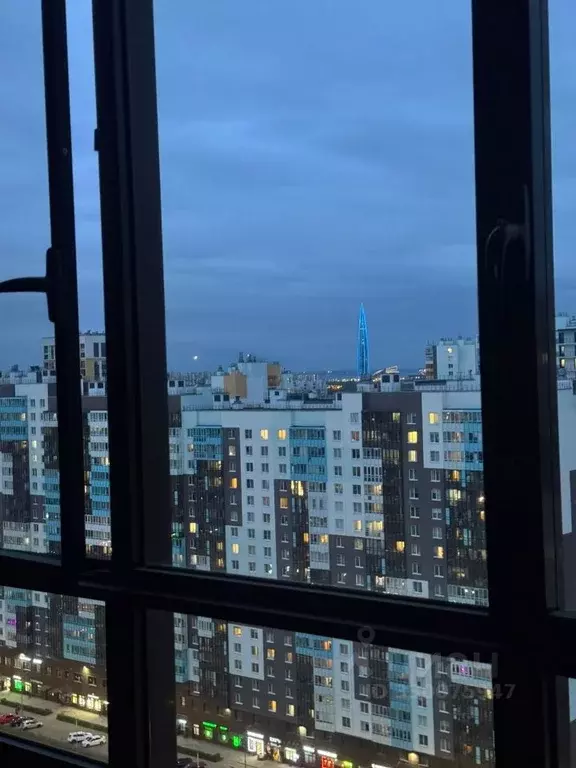Студия Санкт-Петербург Комендантский просп., 69 (24.0 м) - Фото 1