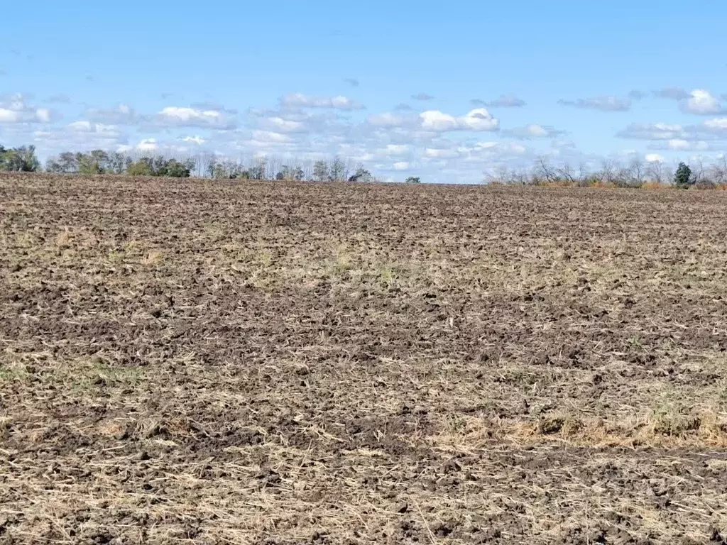 Участок в Белгородская область, Красногвардейский район, Никитовское ... - Фото 1