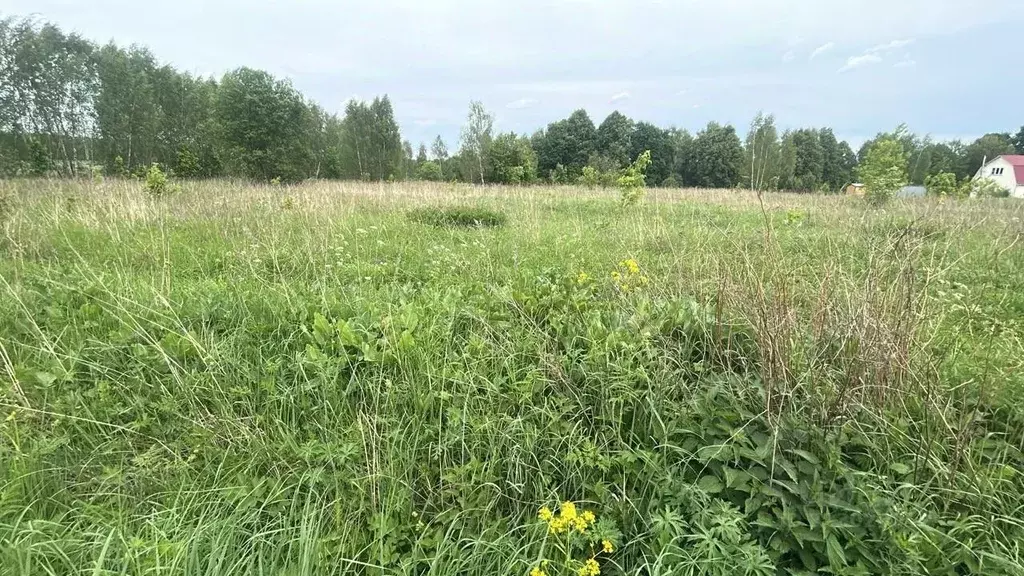 Участок в Московская область, Ступино городской округ, д. Белыхино  ... - Фото 1